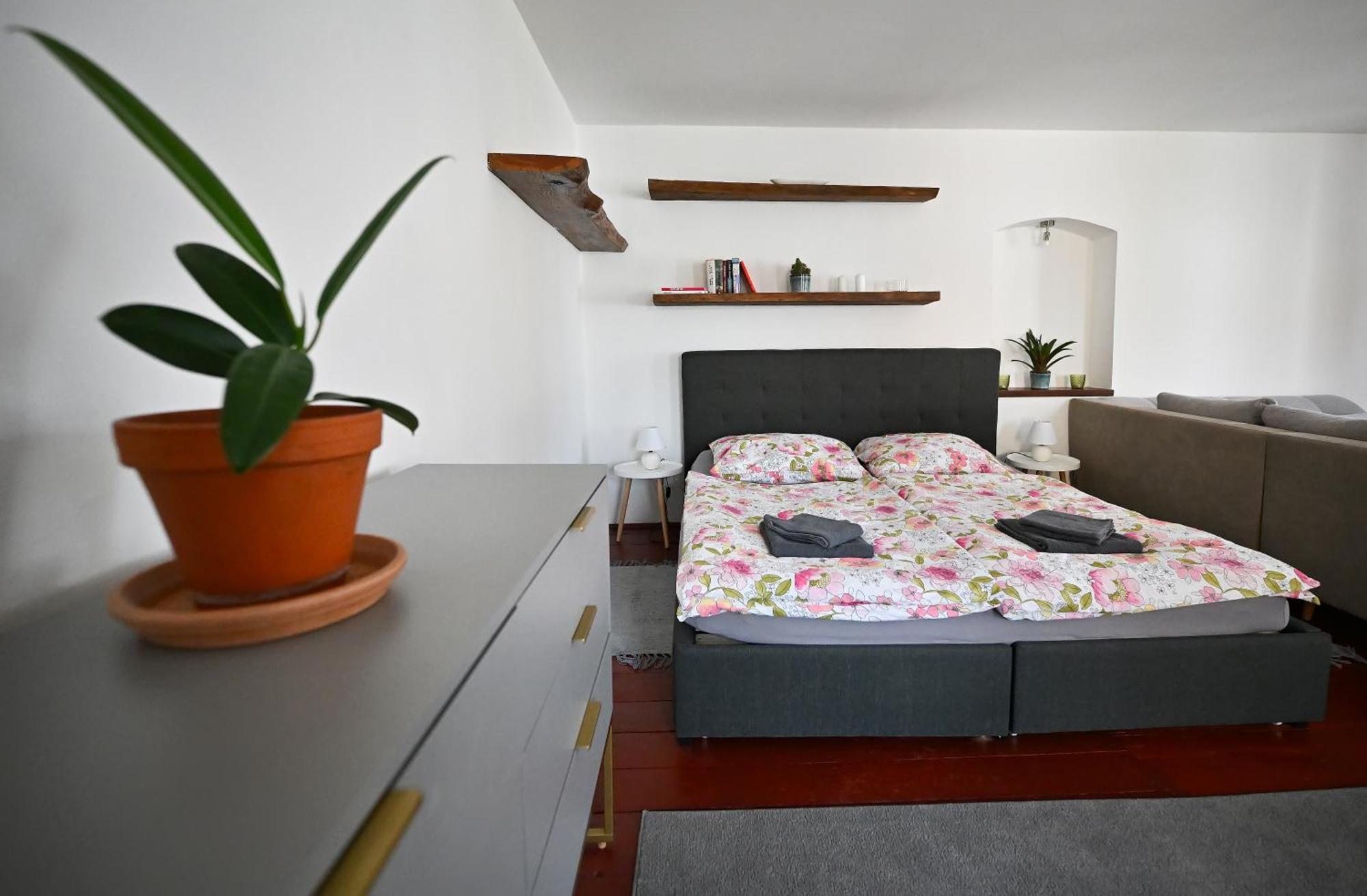 Apartman U Spinaru Třešť Exteriér fotografie
